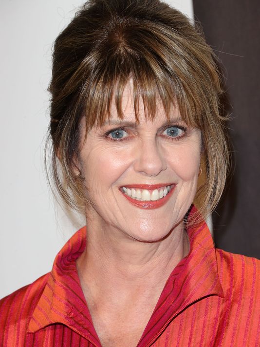 Pam Dawber Profile Biodata Updates And Latest Pictures Fanphobia Celebrities Database