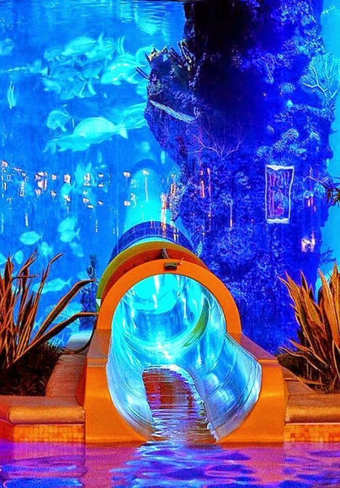 6 Most Amazing Water Park Photos in the World | FanPhobia ...
