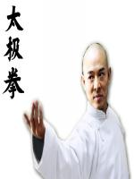 jet li in chineese style