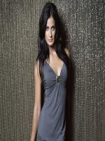 Dayanara Torres in gray dress