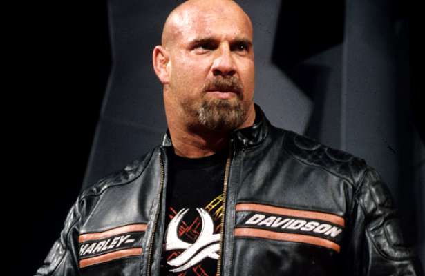 Bill Goldberg Actor