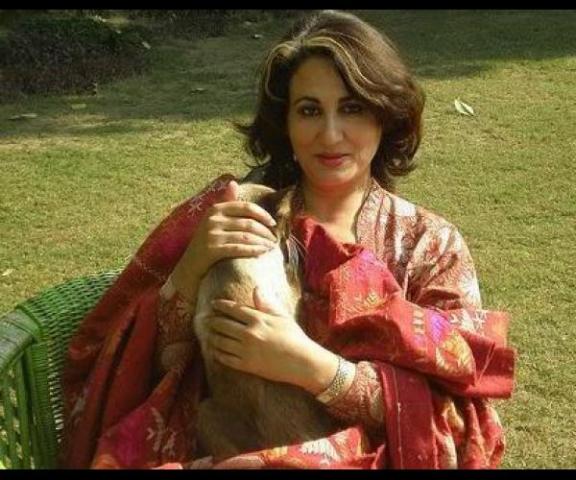 Faryal Gohar Pakistani Film Actress