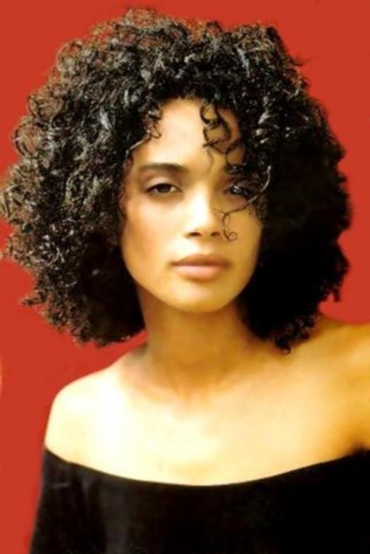 Lisa Bonet in The Cosby Show