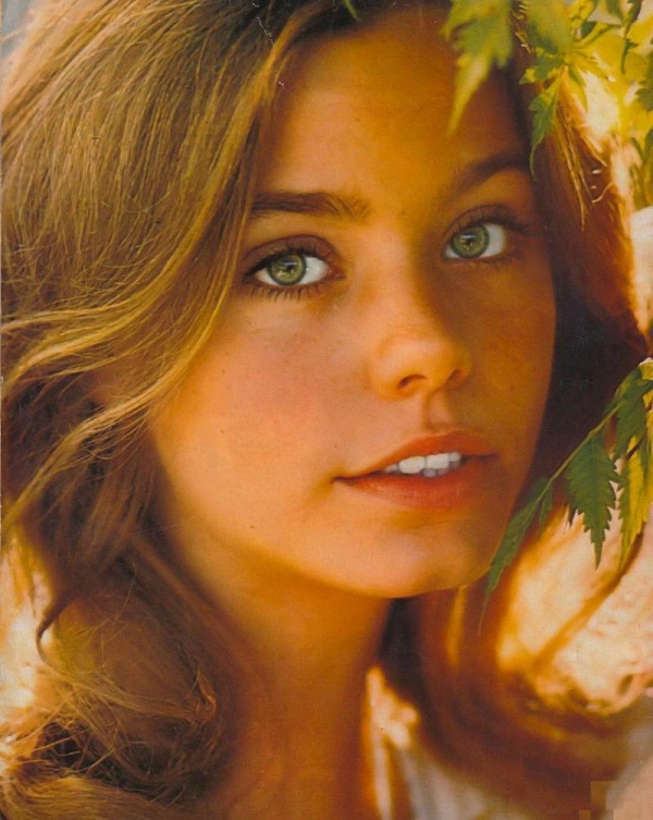 Susan Dey in  The Partridge Family