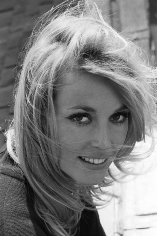 Sharon Tate in Mister Ed