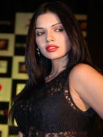 Sara Loren Photo