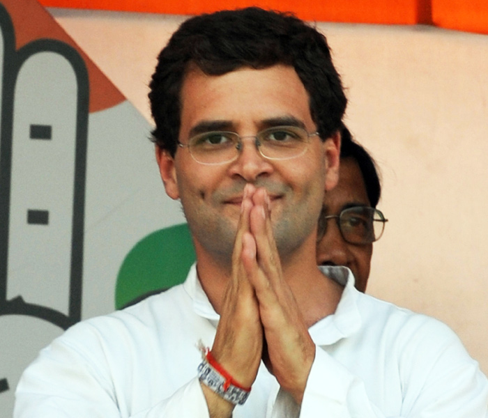 Rahul Gandhi Member National Congress Party