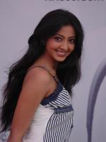 Anjali Sudhakar Photo Shot