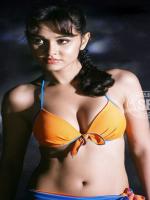 Priyanka Kothari Hot Pic