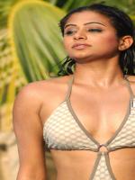 Priyamani Hot Pic