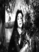 latkar sulochana young fanphobia updates