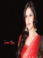 Zarine Khan Photo Shot