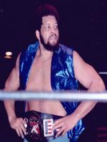 Ernie Ladd Wrestler