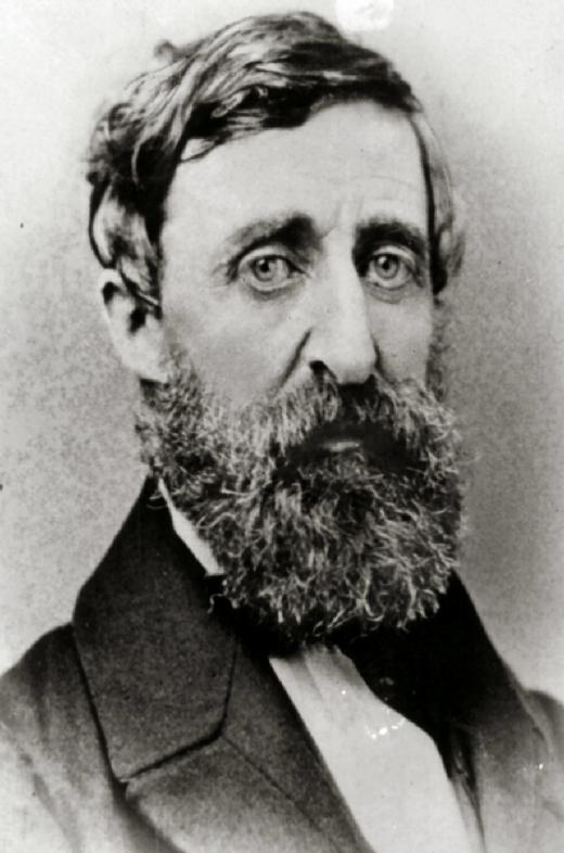 Henry David Thoreau by The Landlord