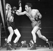 Willie Pep in Fight