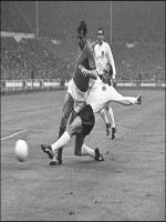 Ray Wilson in Action