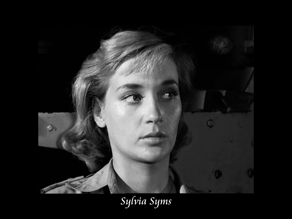 Sylvia Syms in 2012 Run For Your Wife