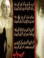 Habib Poetry