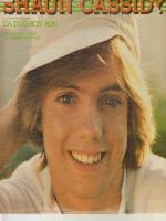 Shaun Cassidy Latest Photo