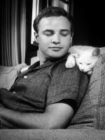 Marlon Brando American Screen Actor