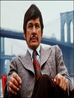 Charles Bronson Television Actor