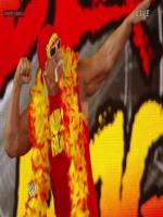 Hulk Hogan in Wrestlemania 2014