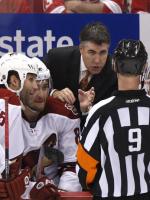 Dave Tippett HD Wallpapers