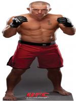 George St-Pierre HD Wallpapers