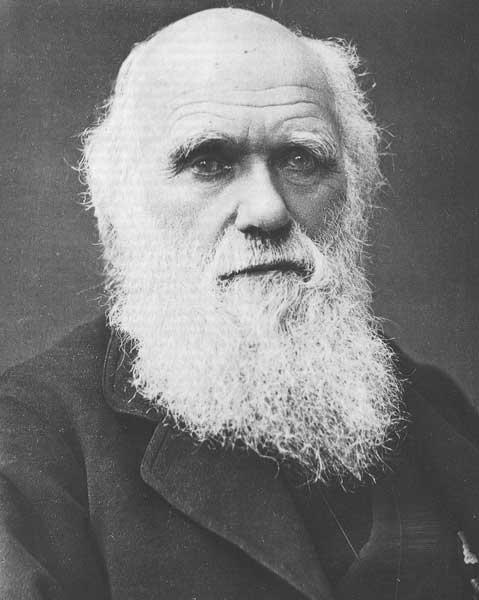 Charles Darwin Latest Wallpaper