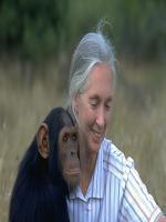 Jane Goodall Latest Photo