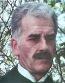 Max Amyl