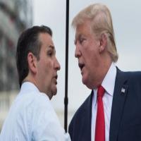 Ted Cruz endorses Trump for president