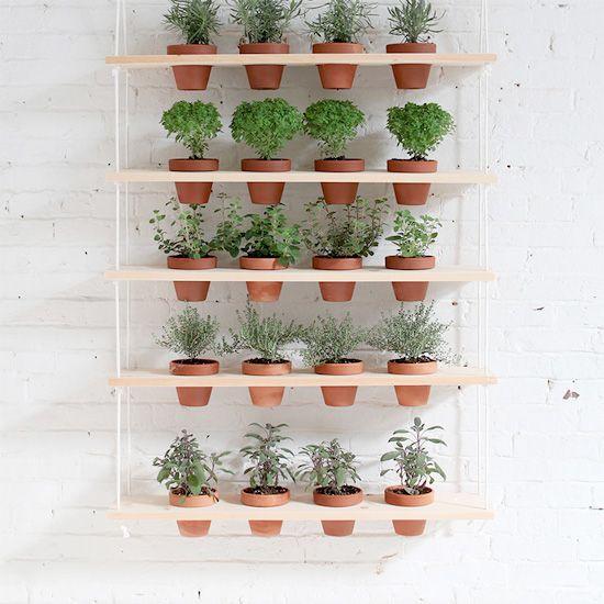 DIY Vertical Garden by homemademodern