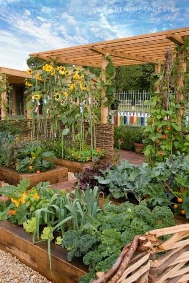 Vegetable garden idea