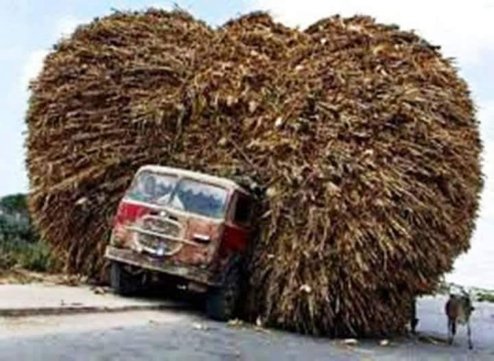 High Load on Truck