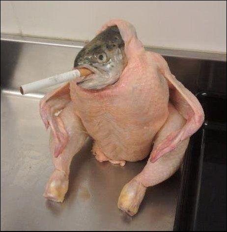 A Fish In A Chicken Suit Smoking A Cigarette