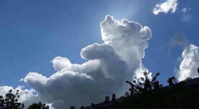Amazing Clouds Bears