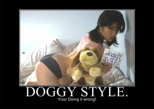 D0ggy Style.. You are doing it wrong