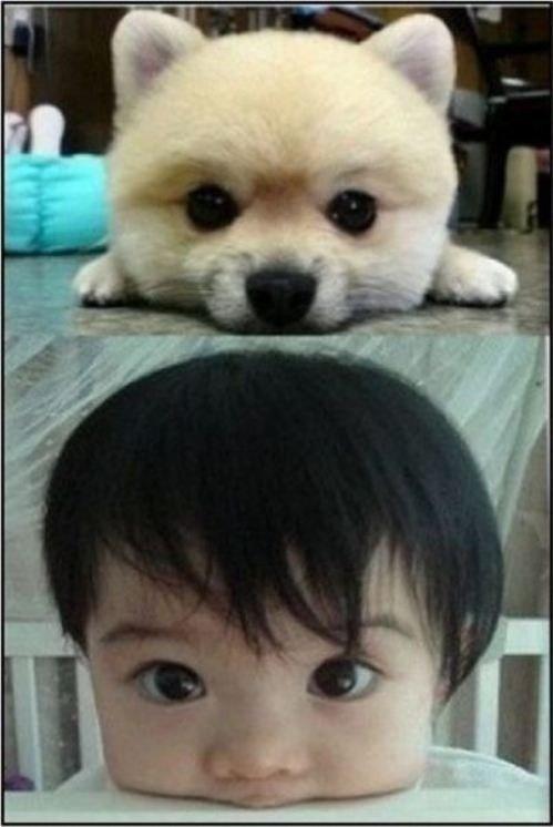 Big eyed baby and dog