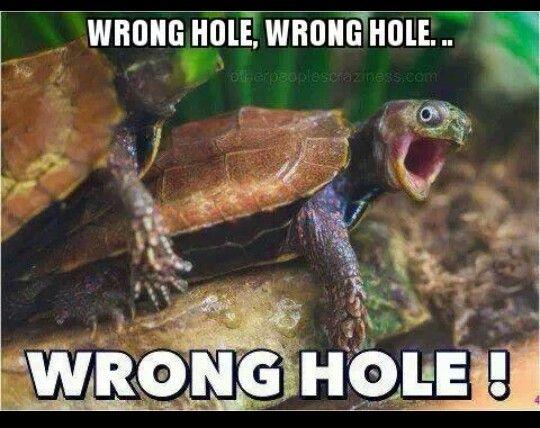 Wrong hole