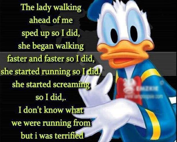 Lady Duck Funny Qoute