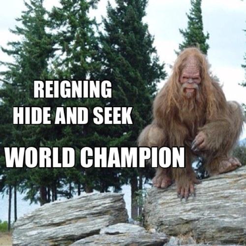 REIGNING HIDE AND SEEK WORLD CHAMPION