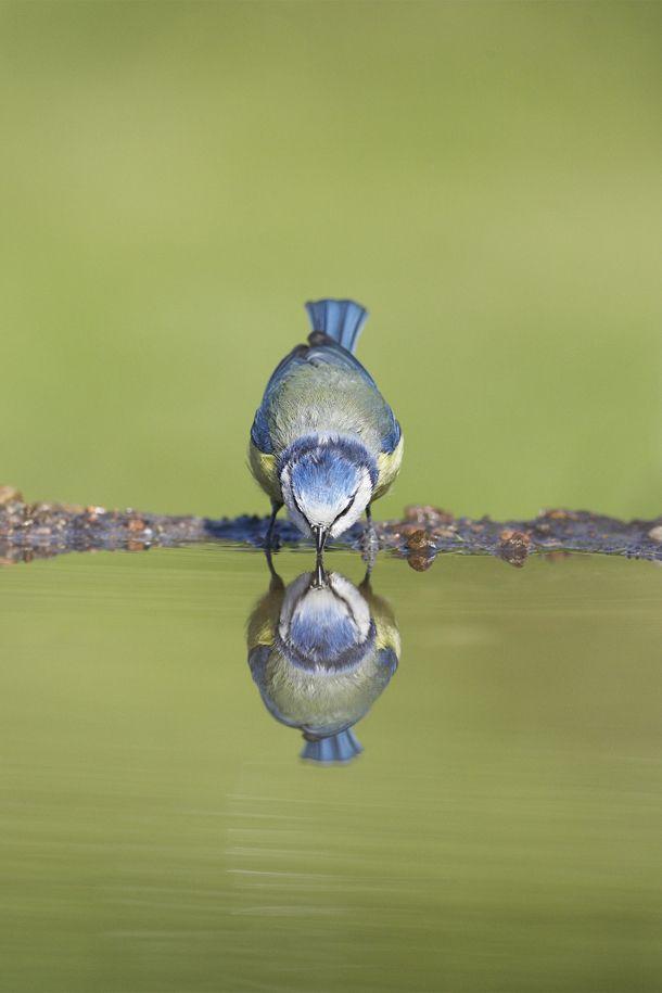 Nature photography tips a subject-by-subject guide to shooting in you