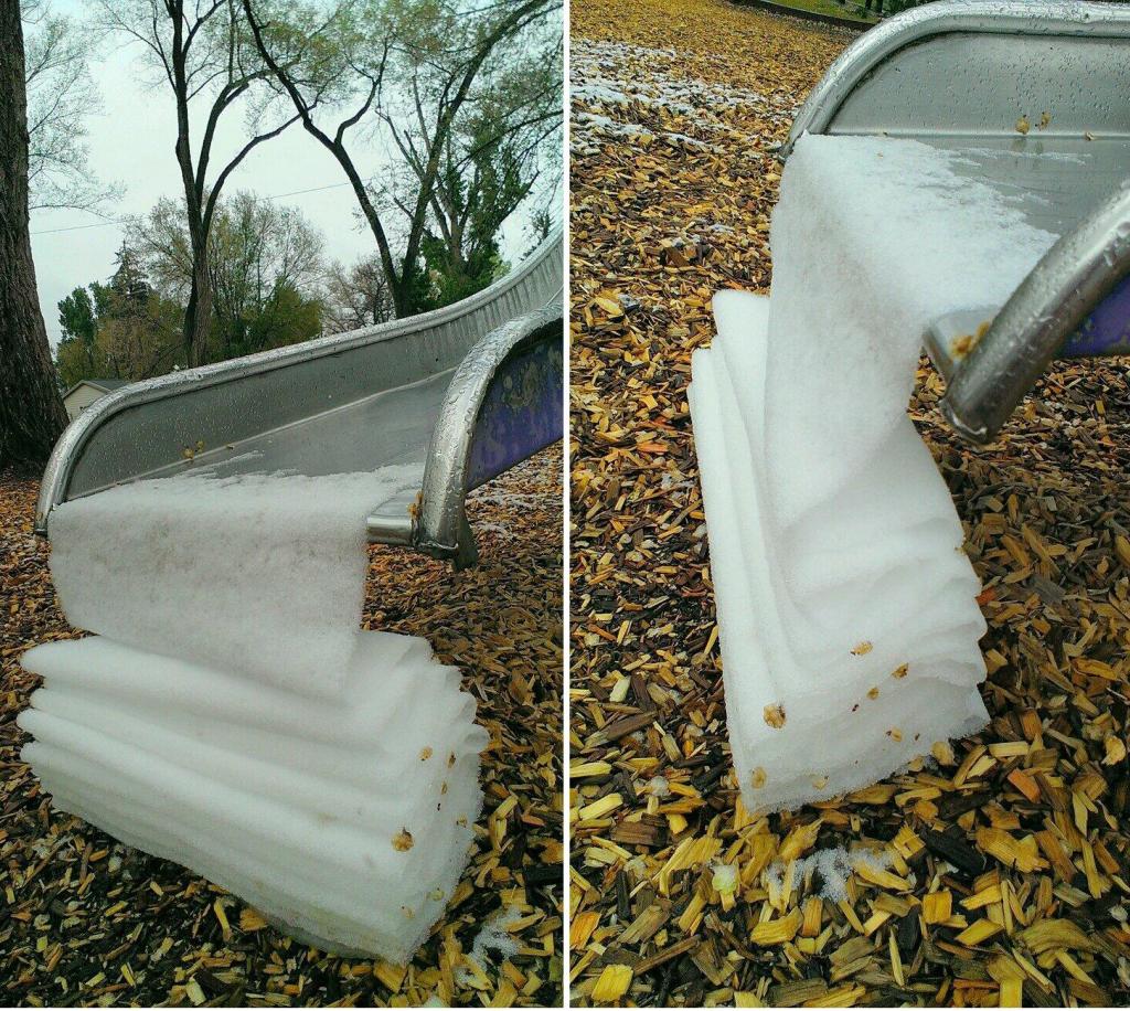 In Colorado, snow during the month of May can lead to some weird thing