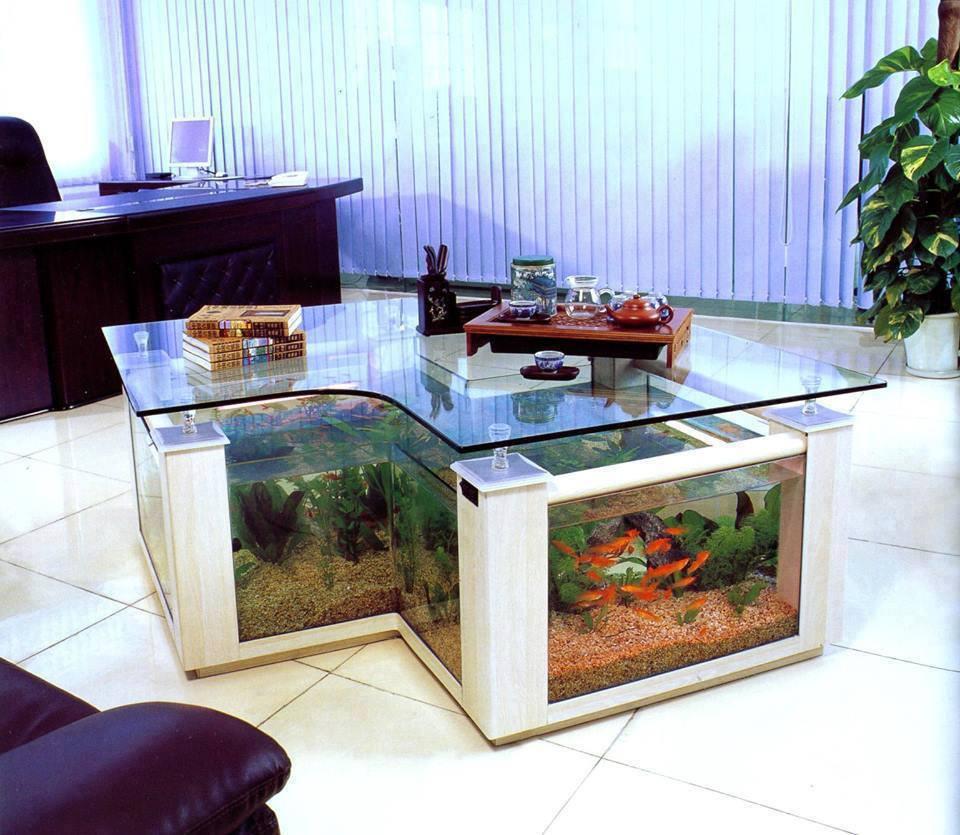 Coffee Table Aquarium Design