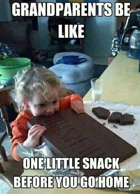 Funny pics, humour quotes, funny jokes, jokes funny, hilarious funny,