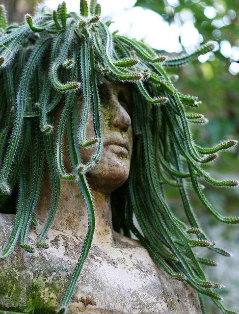 Medusa Head Planter
