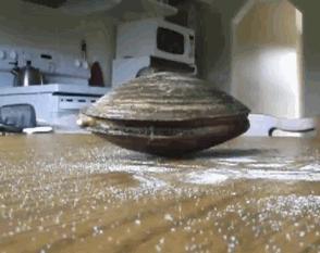 UUUMMM,   A salt clam