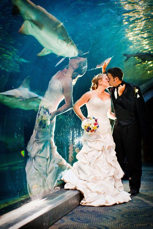 Perfectly timed wedding photo