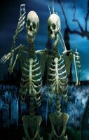 Skeleton Friends